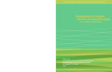 A D I F F E R E N T W AY T O T H I N K A B O U T D E V E LO P M E N TA L E D U C AT I O N  Strengthening Pre-collegiate Education in Community Colleges PROJECT SUMMARY AND RECOMMENDATIONS