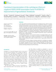 Functional characterization of the switchgrass (Panicum virgatum) R2R3MYB transcription factor PvMYB4 for improvement of lignocellulosic feedstocks