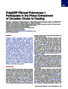 Poly(ADP-Ribose) Polymerase 1 Participates in the Phase Entrainment of Circadian Clocks to Feeding Gad Asher,1,* Hans Reinke,2,5 Matthias Altmeyer,3,4,5 Maria Gutierrez-Arcelus,1 Michael O. Hottiger,3 and Ueli Schibler1,