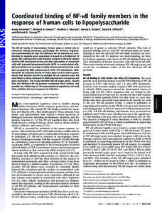 RNA polymerase I / Transcription factor / RNA polymerase / Promoter / RNA interference / Regulation of gene expression / Gene / Transcriptional regulation / RNA / Biology / Gene expression / NF-κB