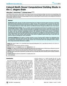 Colored Motifs Reveal Computational Building Blocks in the C. elegans Brain Jifeng Qian1, Arend Hintze1,2, Christoph Adami1,3,4,5* 1 Keck Graduate Institute, Claremont, California, United States of America, 2 Computer Sc