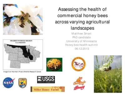 Assessing the health of commercial honey bees across varying agricultural landscapes Matthew Smart PhD candidate