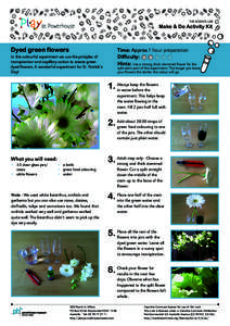 THE SCIENCE LAB  Make & Do Activity Kit Dyed green flowers