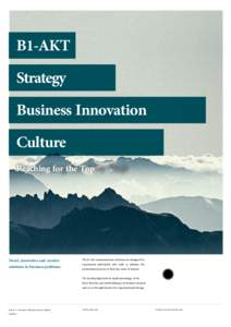 B1-AKT Strategy Business Innovation Culture Reaching for the Top