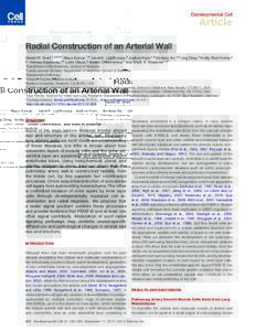 Developmental Cell  Article Radial Construction of an Arterial Wall Daniel M. Greif,1,2,4,5,* Maya Kumar,1,4 Janet K. Lighthouse,5 Justine Hum,1,4 Andrew An,1,4 Ling Ding,5 Kristy Red-Horse,3 F. Hernan Espinoza,1,4 Lorin