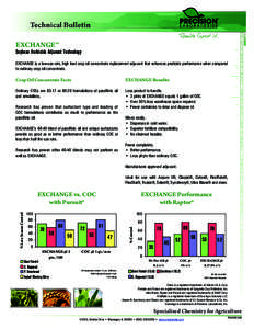 Microsoft Word - TBA40203-06.doc