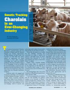 Genetic Tracking  Charolais in an Ever-Changing