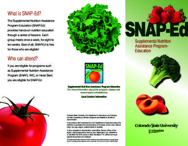 What is SNAP-Ed? The Supplemental Nutrition Assistance Program-Education (SNAP-Ed) provides hands-on nutrition education through a series of lessons. Each group meets once a week, for eight to