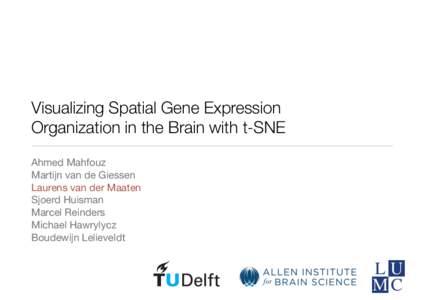 Visualizing Spatial Gene Expression   Organization in the Brain with t-SNE Ahmed Mahfouz Martijn van de Giessen