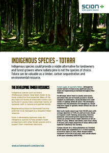 INDIGENOUS SPECIES - TOTARA Indigenous species could provide a viable alternative for landowners and forest growers where radiata pine is not the species of choice. Totara can be valuable as a timber, carbon sequestratio