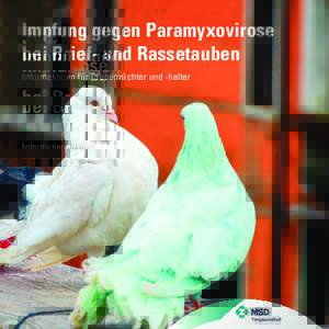 Impfung gegen Paramyxovirose bei Brief- und Rassetauben Informationen für Taubenzüchter und -halter 2 Impfung bei Brief- und Rassetauben