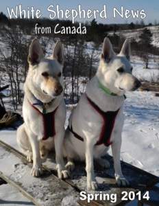 2  The White Shepherd News From Canada MEMBERSHIP FEES: $20.00 SINGLE MEMBERSHIP OR $25.00 FAMILY MEMBERSHIP