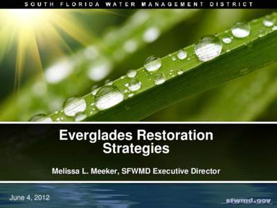 Earth / Restoration of the Everglades / Stormwater / Clean Water Act / Comprehensive Everglades Restoration Plan / Friends of the Everglades / Everglades Foundation / Everglades / Florida / Environment