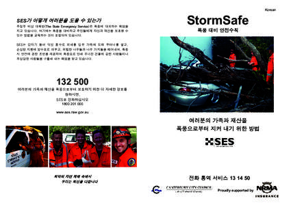 KORL_Storm ethnic brochure.pub