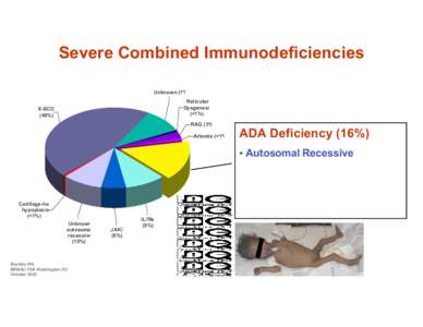 Severe Combined Immunodeficiencies Unknown (7% Reticular Dysgenesi (<1%)