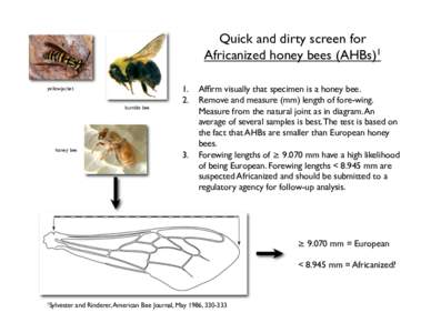 Quick and dirty screen for Africanized honey bees (AHBs)1
 yellowjacket bumble bee
  honey bee