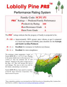 TM TM Loblolly Pine PRS  Performance Rating System
