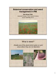 Botanical conservation and weed management in IPM Zita Dorner PhD. Assosiate Professor, Plant Protection Institute [removed]