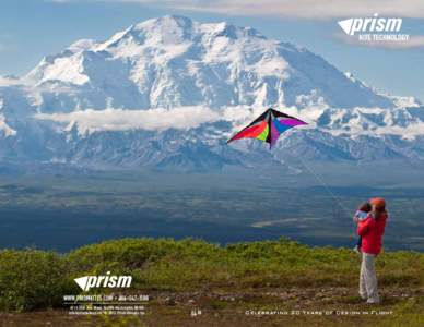 Visual arts / Kite types / Sport kite / Kite / Box kite / Parafoil / Fighter kite / Foil kite / Kites / Recreation / Aviation