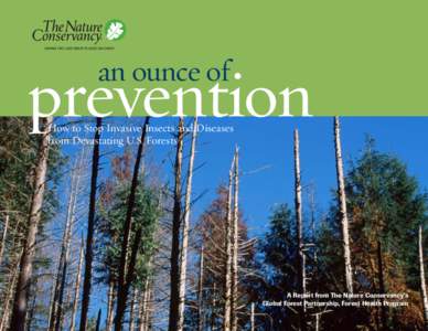 an ounce of  prevention How to Stop Invasive Insects and Diseases from Devastating U.S. Forests
