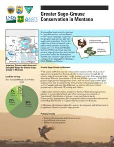 Grouse / Greater sage-grouse / Centrocercus / Sage thrasher / Sharp-tailed grouse / Sagebrush Cooperative