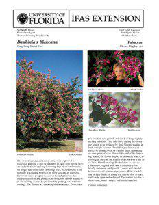 Stephen H. Brown Horticulture Agent, Tropical Flowering Tree Specialty