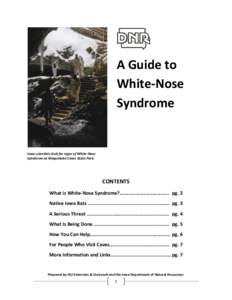 A Guide to White-Nose Syndrome Iowa scientists look for signs of White-Nose Syndrome at Maquoketa Caves State Park.