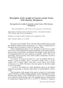 Ficus / Longinos Navás / FIG / Hispania Baetica / Plecoptera / Isoperla / Calpinae