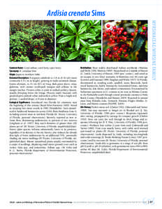 Ardisia crenata Sims  Distribution: Most widely distributed Ardisia worldwide (Watkins and Wolfe 1956, Watkins[removed]Naturalized on 2 islands in Hawaii (C. Smith, University of Hawaii, 1995 pers. comm.), and noted as an