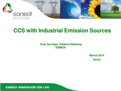 CCS with Industrial Emission Sources Tony Surridge, Sibbele Hietkamp SANEDI March 2014 Seoul