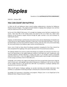 Ripples Newsletter of the AUSTRALIAN PLATYPUS CONSERVANCY ISSUE 36 - October[removed]YOU CAN COUNT ON PLATYPUS