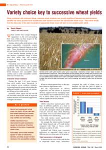 Cropping  Management Variety choice key to successive wheat yields When combined with minimum tillage, intensive wheat rotations can provide significant financial and environmental