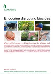 Endocrine disrupting biocides - Why highly hazardous biocides mustbe phases out