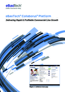 Collaborus brochure- EN -p1, Mar 11