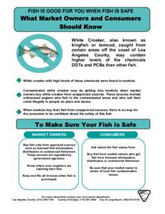 Microgadus tomcod / Polychlorinated biphenyl / Fish / Sciaenidae / White croaker