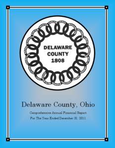 Government Accountability Office / Political economy / Public economics / Public finance / Single Audit / Financial statement / Delaware / Comprehensive annual financial report / Fund accounting / Accountancy / Finance / Business