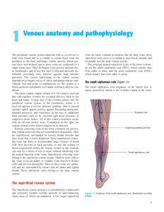 1  Venous anatomy and pathophysiology