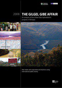 2008  THE GILGEL GIBE AFFAIR