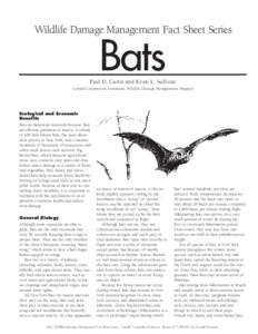 Wildlife Damage Management Fact Sheet Series  Bats Paul D. Curtis and Kristi L. Sullivan Cornell Cooperative Extension, Wildlife Damage Management Program