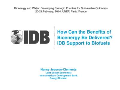 Bioenergy and Water: Developing Strategic Priorities for Sustainable OutcomesFebruary, 2014. UNEP, Paris, France How Can the Benefits of Bioenergy Be Delivered? IDB Support to Biofuels