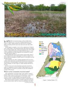 LEAFLET 11 OCTOBER 2006 The March of Cattails across Gardner Marsh In 1973