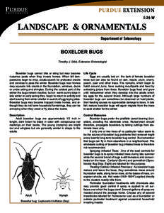 PURDUE EXTENSION E-24-W LANDSCAPE & ORNAMENTALS Department of Entomology