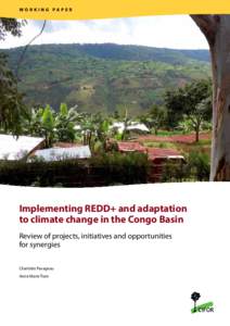 WORKING PAPER  Implementing REDD+ and adaptation to climate change in the Congo Basin Review of projects, initiatives and opportunities for synergies