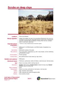 Trees of Australia / Natural history of Australia / Water / Acacia harpophylla / Riparian zone / Carissa spinarum / Prairie / Soil / Brigalow Belt / Bushfood / Flora of New South Wales / Physical geography