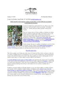 January 27, 2015  For Immediate Release Contact for Panthera: Susie Weller[removed]removed] FIRST KNOWN FOOTAGE OF AFRICAN GOLDEN CAT HUNTING IN DAYLIGHT