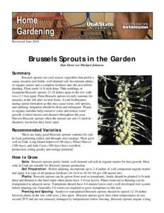 Microsoft Word - Brussels Sprouts in the Garden