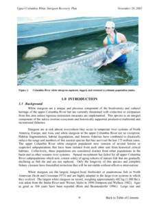 Upper Columbia White Sturgeon Recovery Plan  Figure 1. November 28, 2002