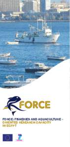 FORCE: Fisheries and aquaculture – Oriented Research Capacity in Egypt THE CHALLENGE The international competitiveness of modern