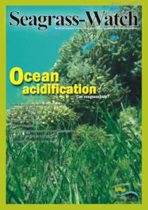 Issue 37 JuneSeagrass-Watch The official magazine of the Seagrass-Watch global assessment and monitoring program  cean