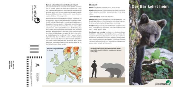 Darum sollen Bären in der Schweiz leben!  Steckbrief Orts- und Flurnamen von Bärschwil SO bis Berneck SG bezeugen es: Der Bär gehörte in unsere Kulturlandschaft. Er hat hier während Jahrhunderten zusammen mit dem Me